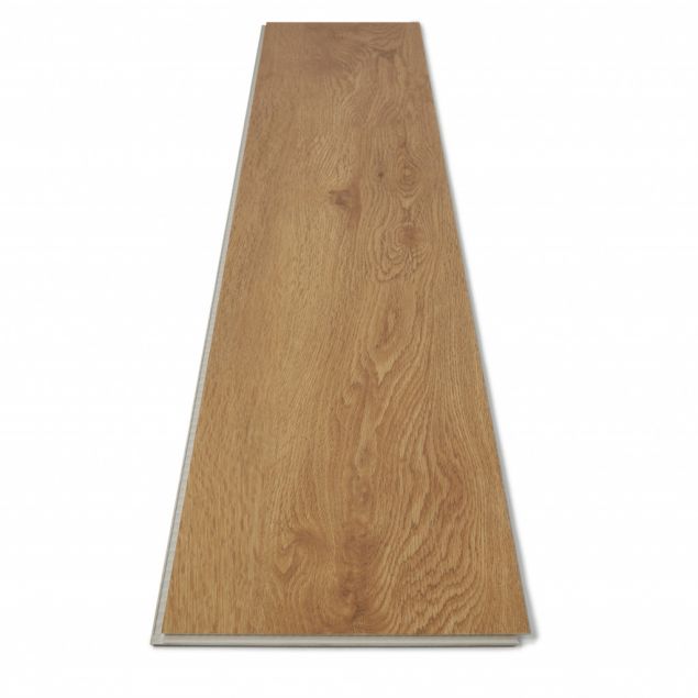 Endura Eagle Side Plank